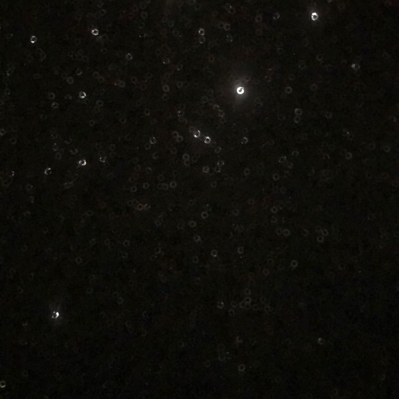 Forever 21 Sequin Dress - Picture 4 of 4